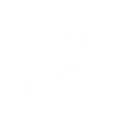 Obstacle